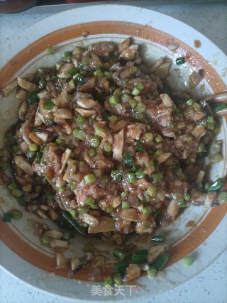 蒜苔陈肉蒸饺的做法步调：15