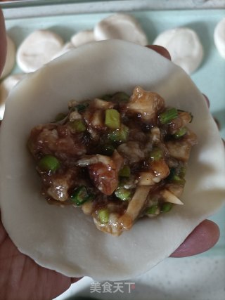 蒜苔陈肉蒸饺的做法步调：19