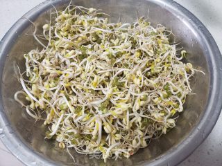 绿芽菜炒洋葱的做法步调：1