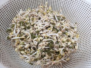 绿芽菜炒玉米粒的做法步调：3
