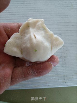 西兰花素馅火饺的做法步调：15