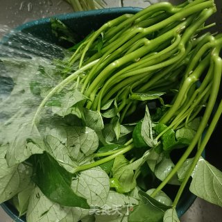 猪油炒白薯藤的做法步调：1