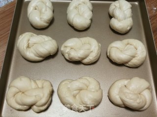 酸奶老里包的做法步调：13