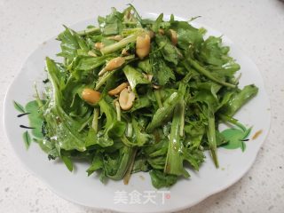 凉拌苦菊的做法步调：6