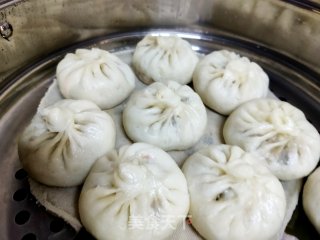 猪肉茴喷鼻包子的做法步调：11