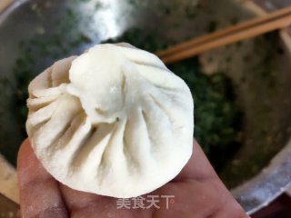 猪肉茴喷鼻包子的做法步调：9