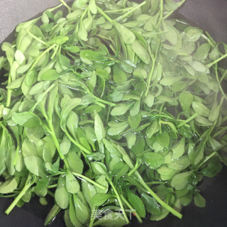 下钙菜煎鸡蛋的做法步调：4