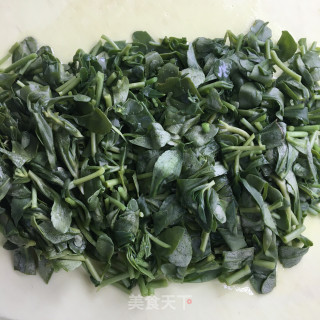 下钙菜煎鸡蛋的做法步调：5