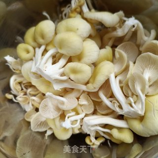 榆黄蘑炒蛋的做法步调：1
