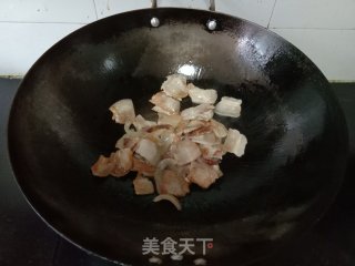 喷鼻菜炒回锅肉的做法步调：2