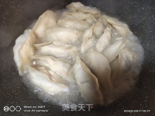 鸡胸肉木耳胡萝卜煎饺的做法步调：6