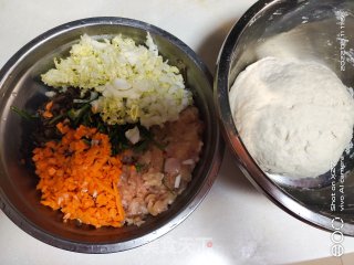 鸡胸肉木耳胡萝卜煎饺的做法步调：1