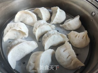 西葫芦鸡蛋蒸饺的做法步调：14