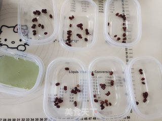 免烤箱的抹茶白豆布丁！的做法步调：5