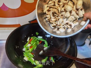 蚝油蘑菇的做法步调：7