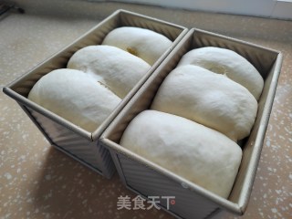 波兰种浓奶油吐司的做法步调：12