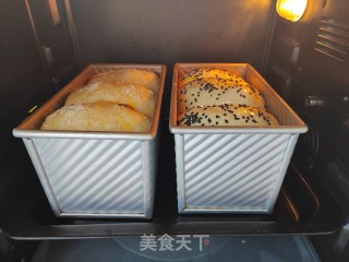 波兰种浓奶油吐司的做法步调：14
