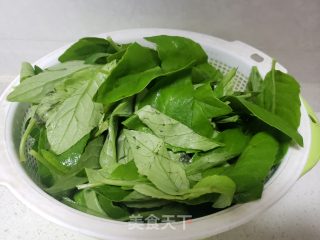 洋葱炒明月草的做法步调：2