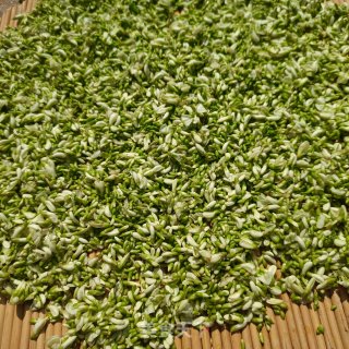 白糖槐花茶的做法步调：4
