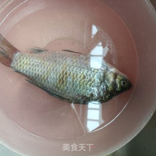 利剑萝卜鲫鱼汤的做法步调：1