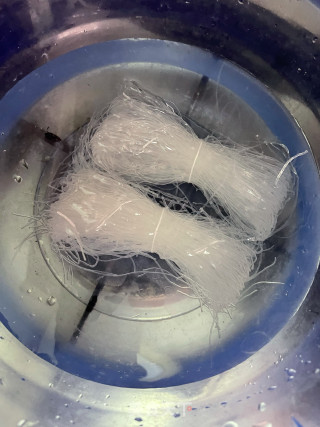 陈虾粉丝煲的做法步调：1