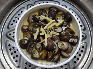 雪菜汁浑蒸马蹄螺的做法步调：5