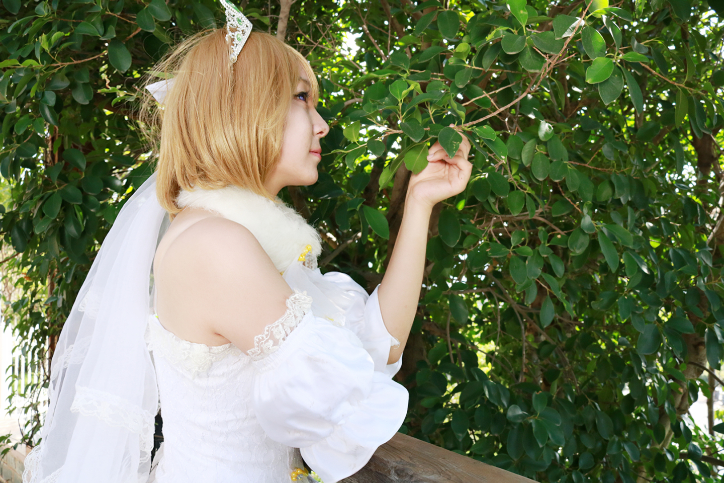 1cf0dd86-a133-a2b2-86ed-c850ca32b064.jpg