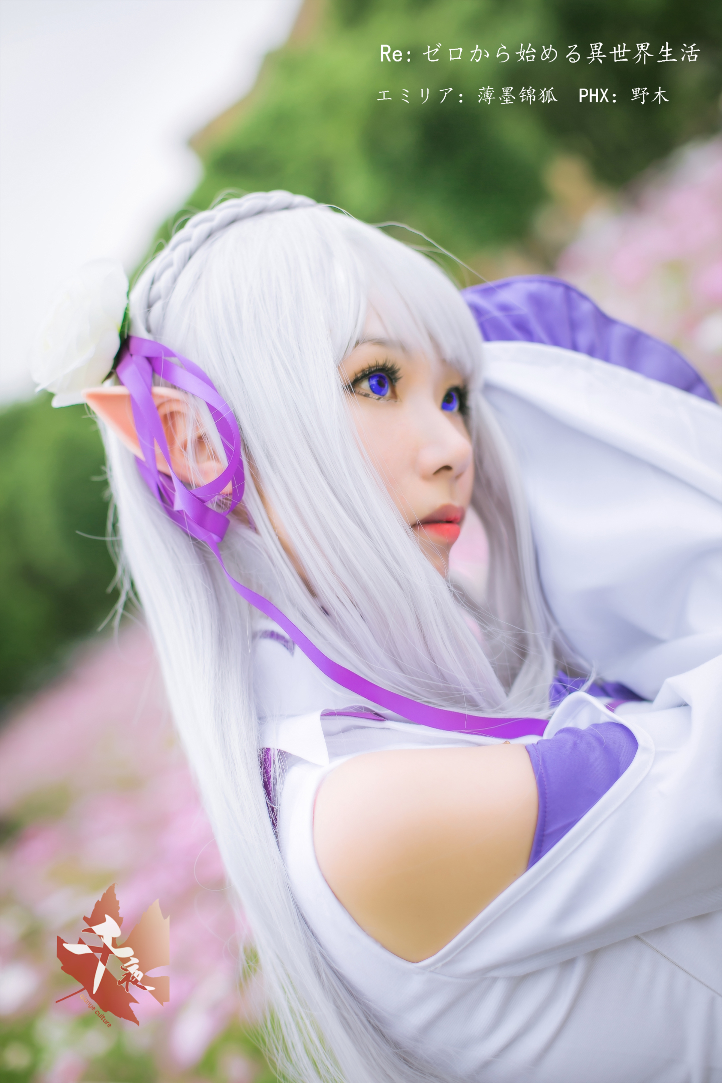 cb80321c-a133-a24e-c83b-4adc1c07cff6.jpg