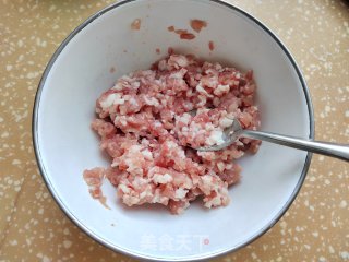 【抻里法】瓜丝麦饼的做法步调：5