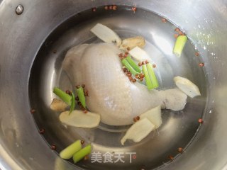 泡椒柠檬脚撕鸡的做法步调：3