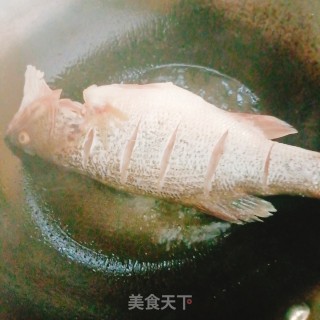 白烧鲈鱼的做法步调：2