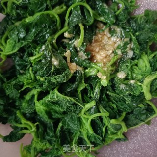 蒜泥苋菜的做法步调：9