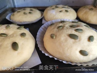 北瓜蛋黄瓜子里包的做法步调：11