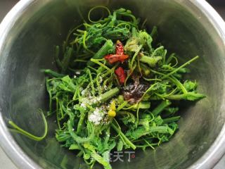 凉拌倭瓜秧老尖的做法步调：6