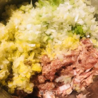 利剑菜火饺的做法步调：9