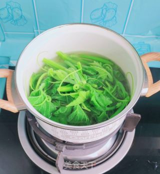 青炒北瓜苗的做法步调：4