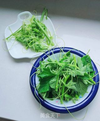 青炒北瓜苗的做法步调：2