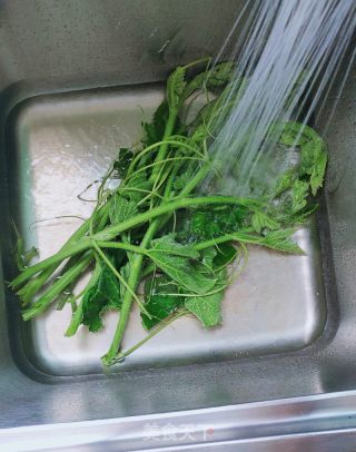 青炒北瓜苗的做法步调：1