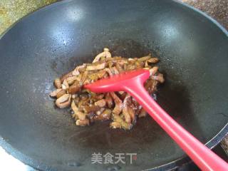 鸡胸肉炒茄子的做法步调：15