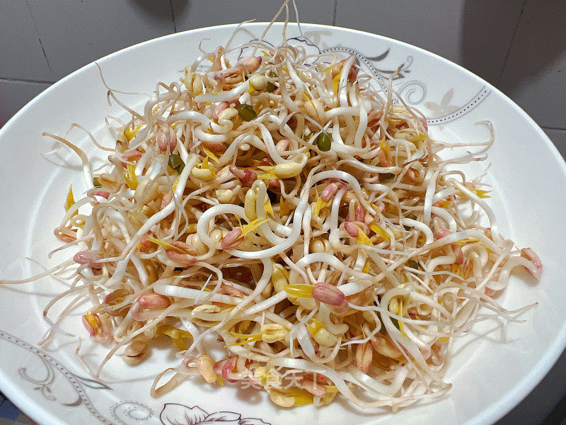 自觉绿芽菜的做法