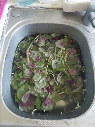 蒜喷鼻马苋菜的做法步调：2