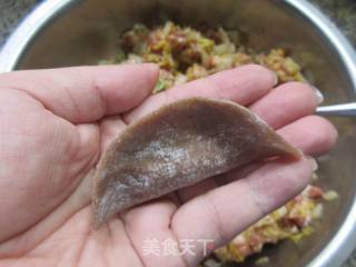 年夜娃娃菜肉馅荞麦饺子的做法步调：13