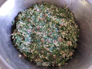 荠菜杏鲍菇肉馅煎饺的做法步调：4