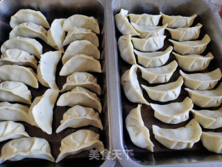 荠菜杏鲍菇肉馅煎饺的做法步调：5