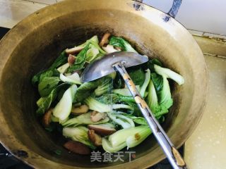 喷鼻菇炒油菜的做法步调：8