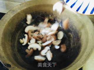 喷鼻菇炒油菜的做法步调：4