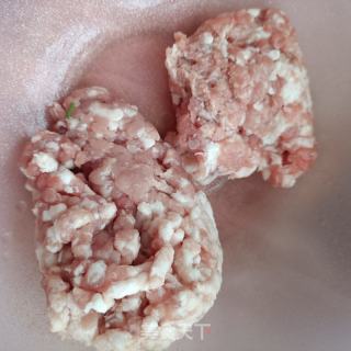 小鸡枞菌家蒜馄饨的做法步调：5