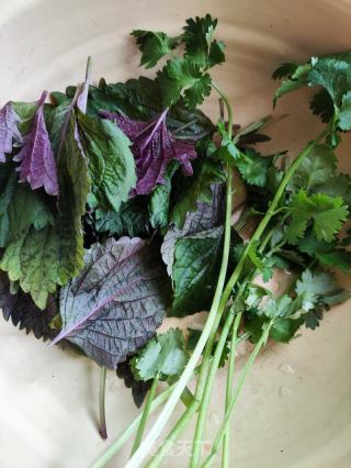 紫苏肉丝炒利剑瓜的做法步调：4