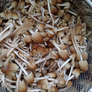 小鸡枞菌青菜虾皮里的做法步调：3