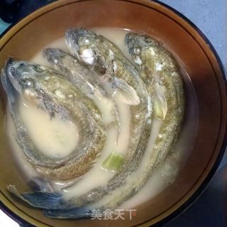 浑炖光鱼的做法步调：17